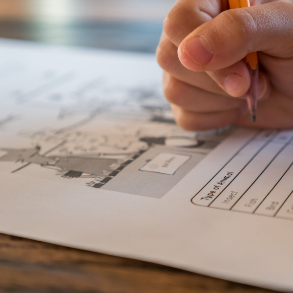 Academic Talent Solutions